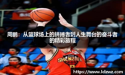 星空.综合体育官网
