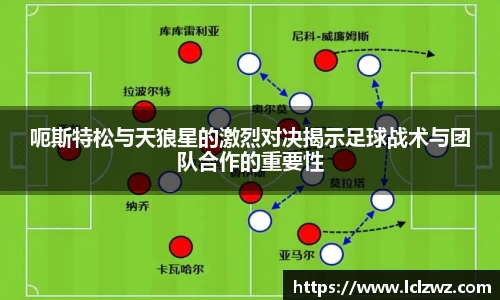 星空.综合体育官网