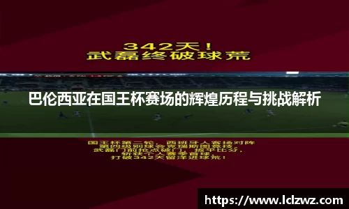 星空.综合体育(中国)官方网站