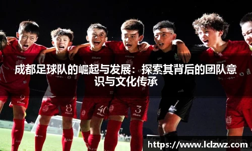 星空.综合体育官网